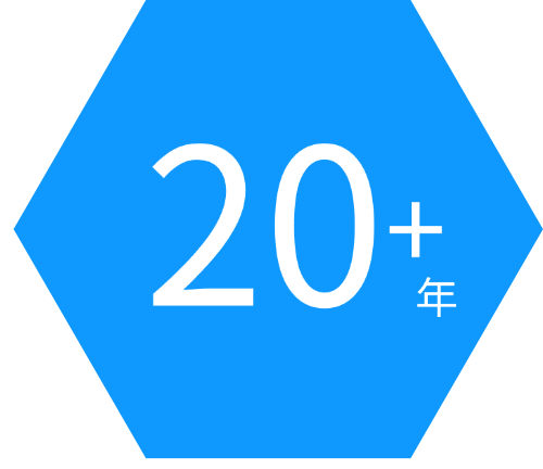 蜂窩IoT和Telematics行業經驗