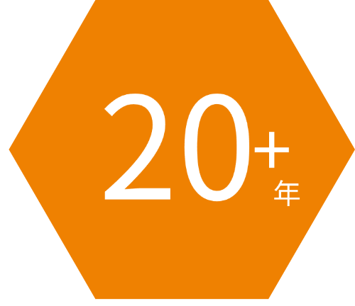 蜂窩IoT和Telematics行業經驗